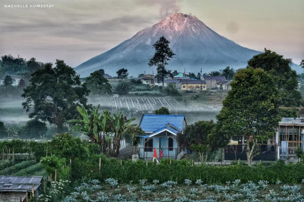 Nachelle Homestay