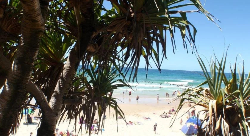 Pacific on Coolum