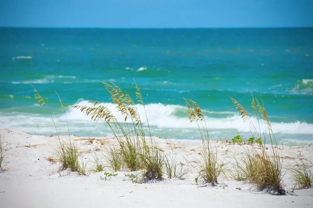 Sea Club #304 - Gone Coastal