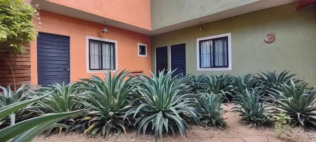 Tu casa Oaxaca