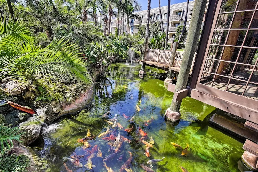 Charming Oceanside Condo w/ Beach & Pool Access!