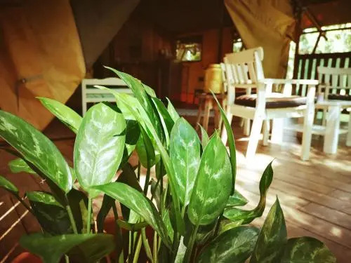 Casa Maya