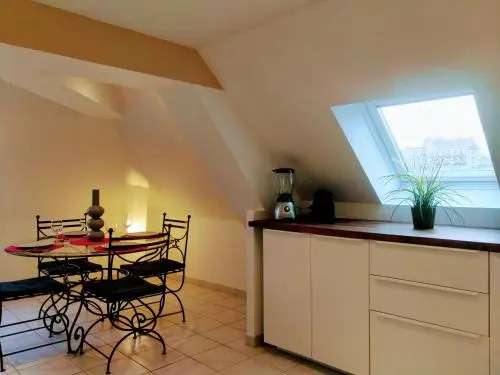 T2 Vue chateau Amboise, Cozy,Calme,Wifi,Netflix