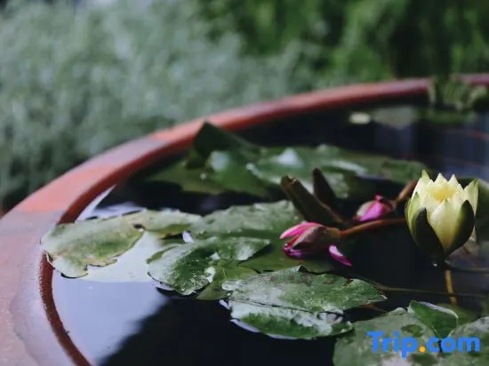 Xiaoyincicheng Shiba Flower Room B&B