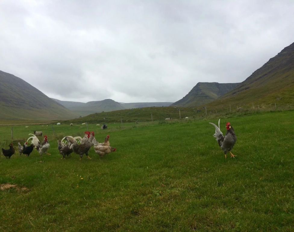Sæból Farm