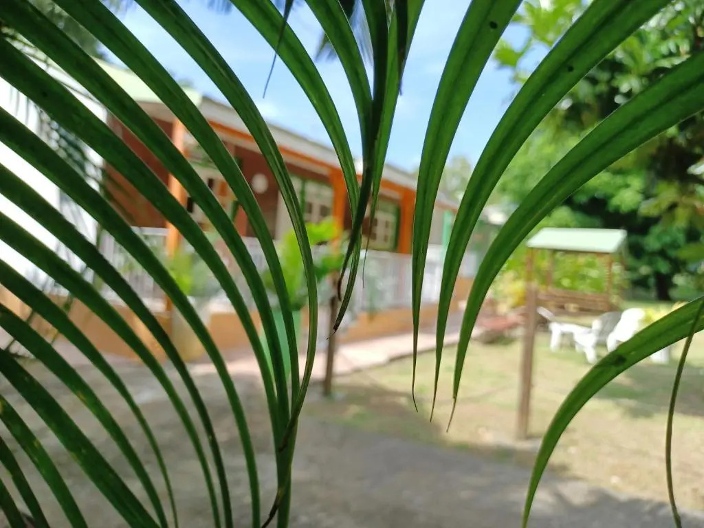 Bungalow PAPAYE