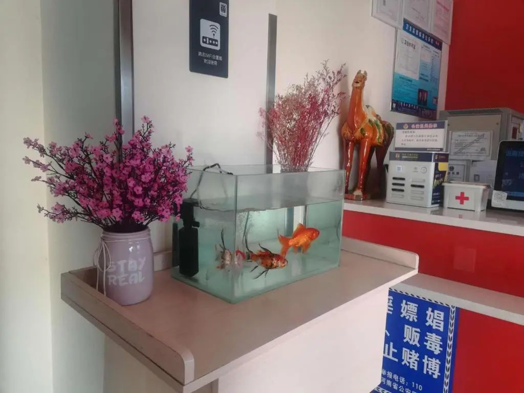 7Days Inn Luoyang Zhongzhou Middle Road Jiulongding