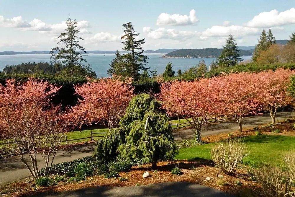 Airy Home Near Anacortes w/ San Juan de Fuca Views
