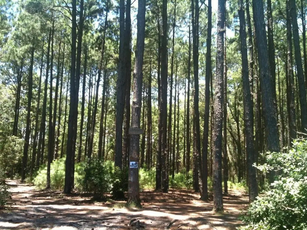 Reserva Moçambique