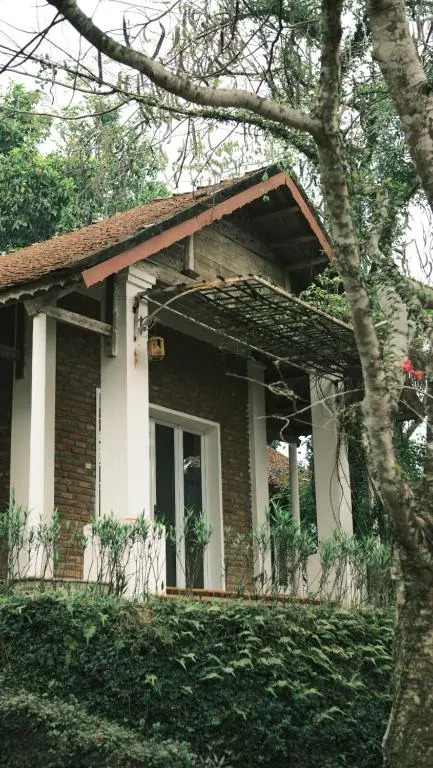 Yen Bai Resort