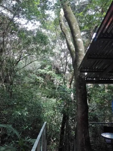 The Green Tree Lodge