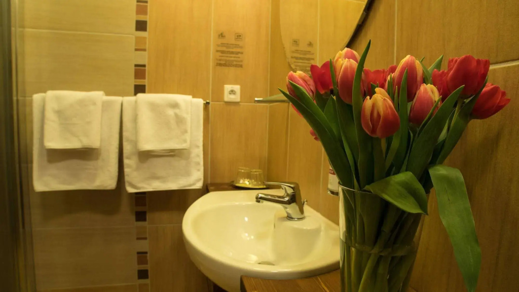 Sojka Resort