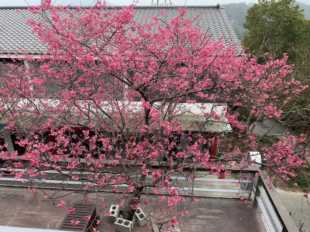 Sanyi Wei Wei Feng B&B