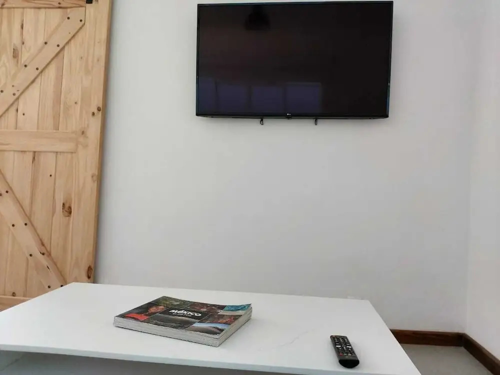 JUUB 1 Bedroom apt at the best of Condesa