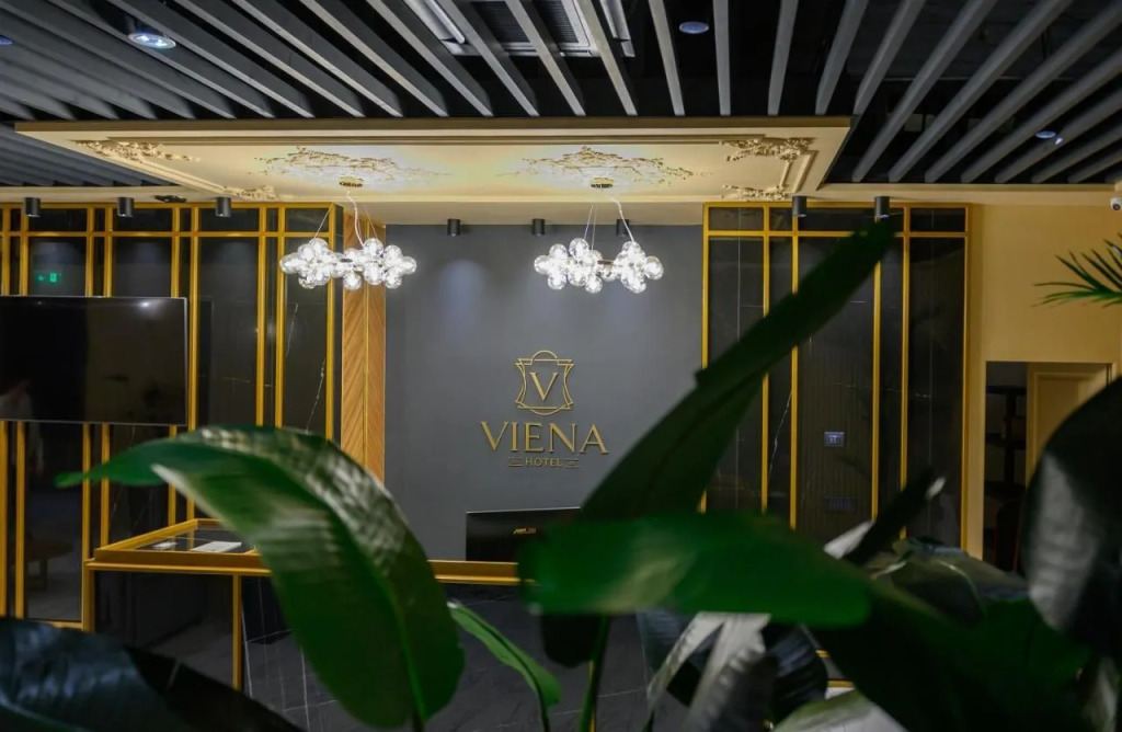 HOTEL VIENA