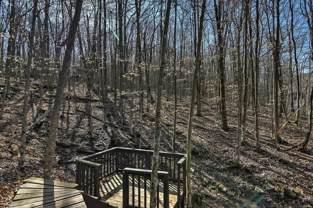 Family Retreat w/ Trail Access in Beech Mountain!