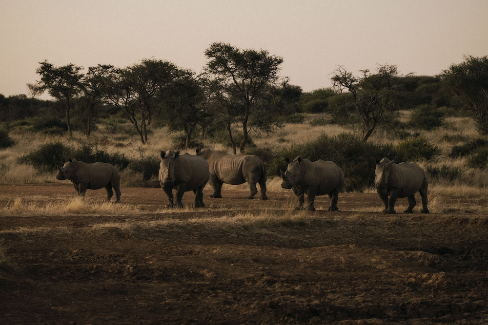 Our Habitas Namibia