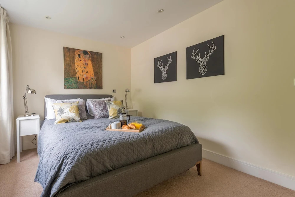 Hampden Apartments - The Alexandra