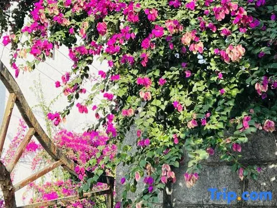 Yuanshanshe Homestay (Guilin Rongchuang Paradise University of Technology)