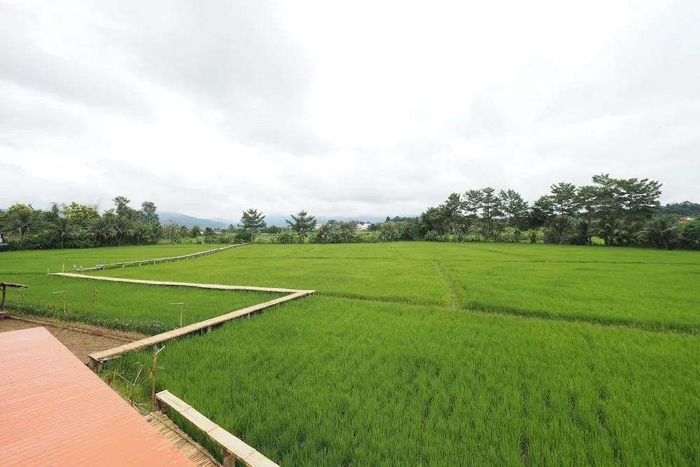 Ton Lang Homestay