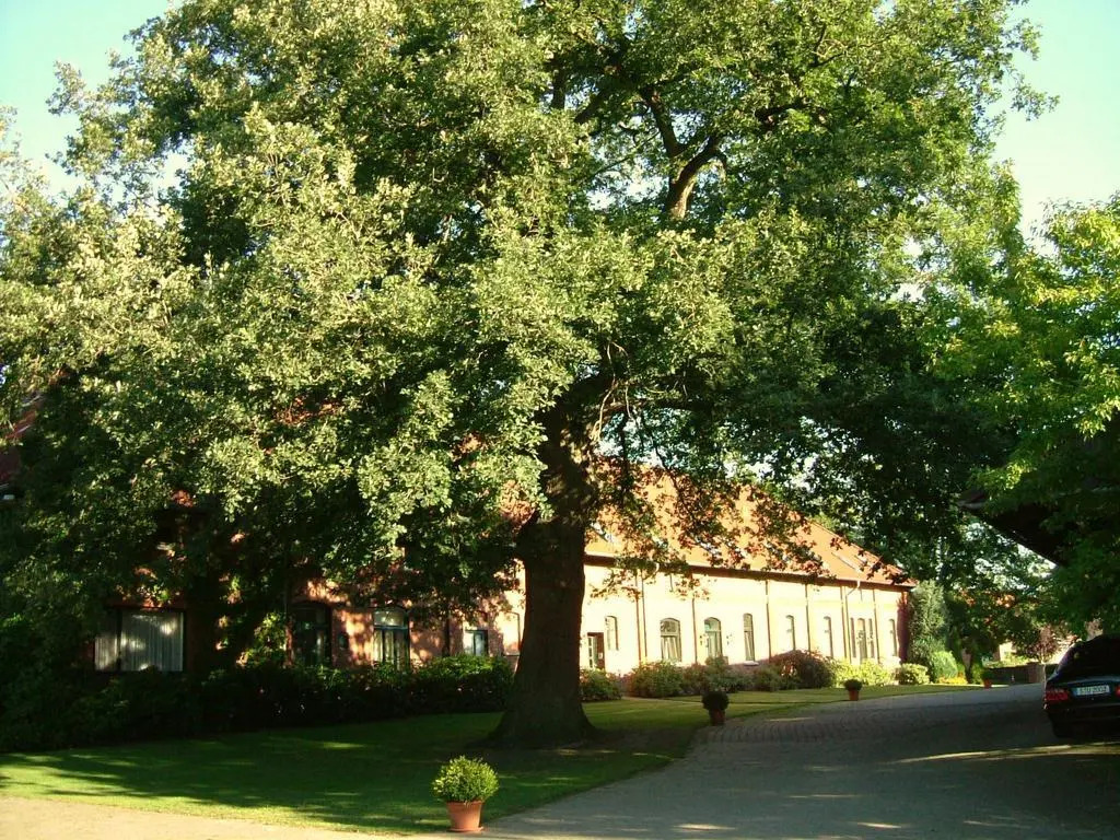 Gästehaus Schlossgarten