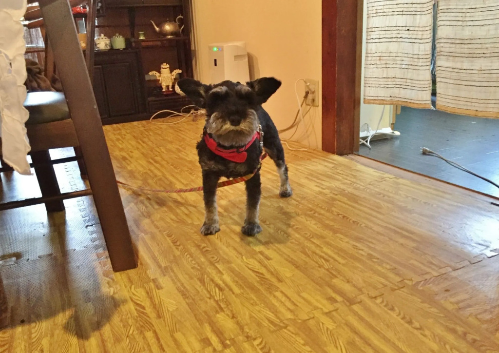Hotobil B&B 潤 An inn that enjoys breakfast