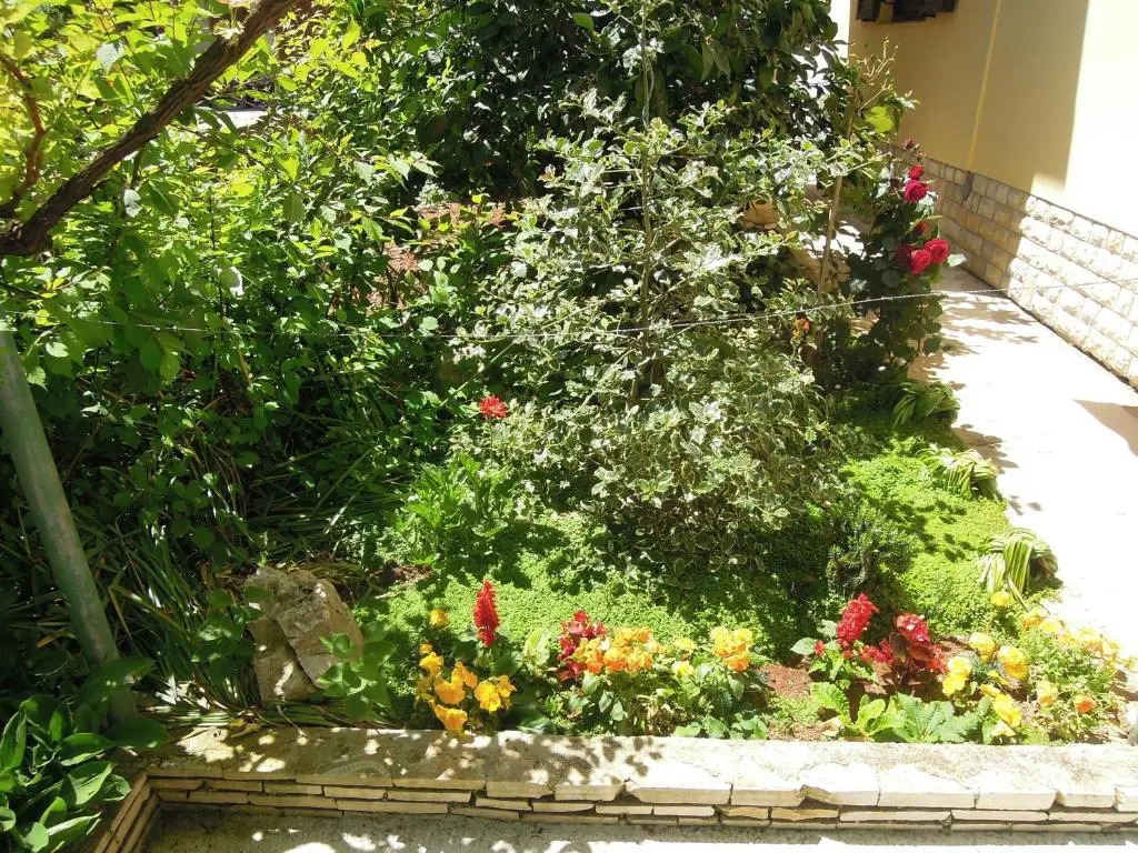 Apartmani Šimićev