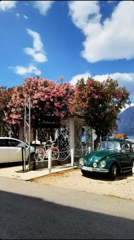 Apartments Saxo