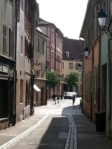 Studio Maison Verte Colmar Centre