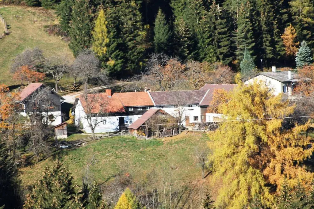 Ferienwohnung Holzer
