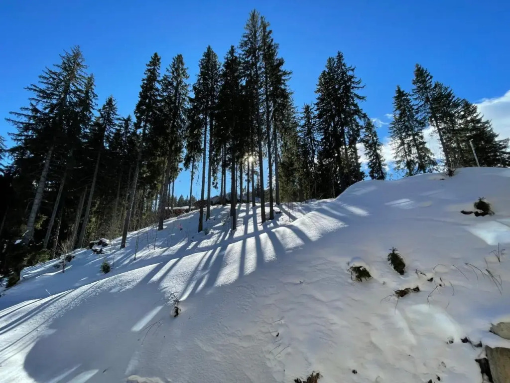 Studio Pamporovo Palace