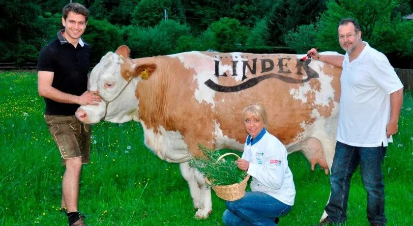 Gasthof - Pension Linder