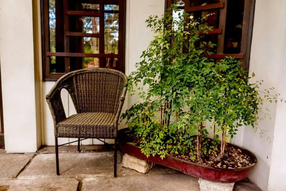 Colione Bed and Breakfast