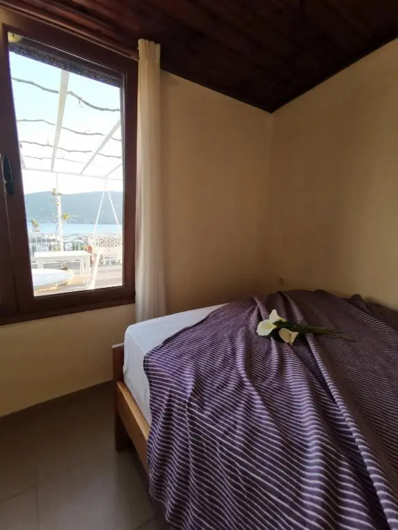 Twin terrace apartment 1