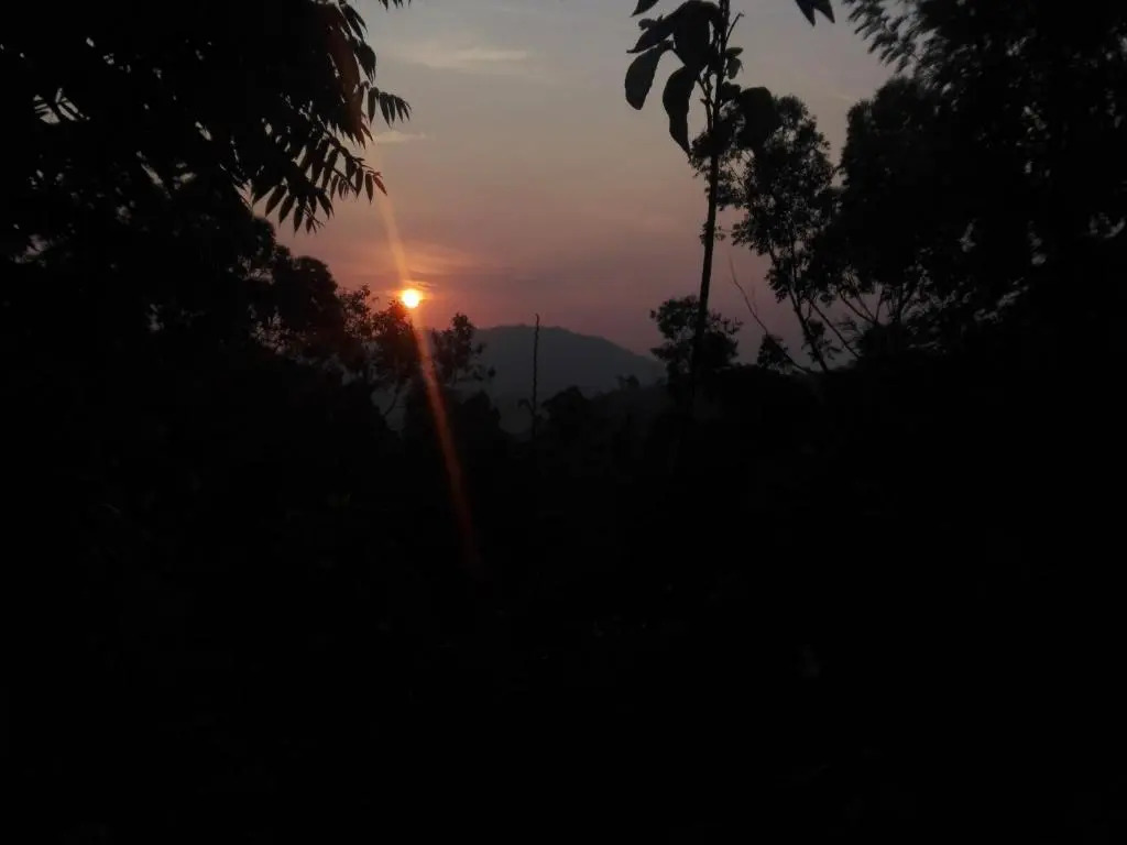 New Green View Guest House Kithal Ella