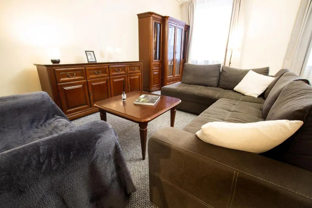 Spacious 2 Room Apart In A Historic Laisves Avenue