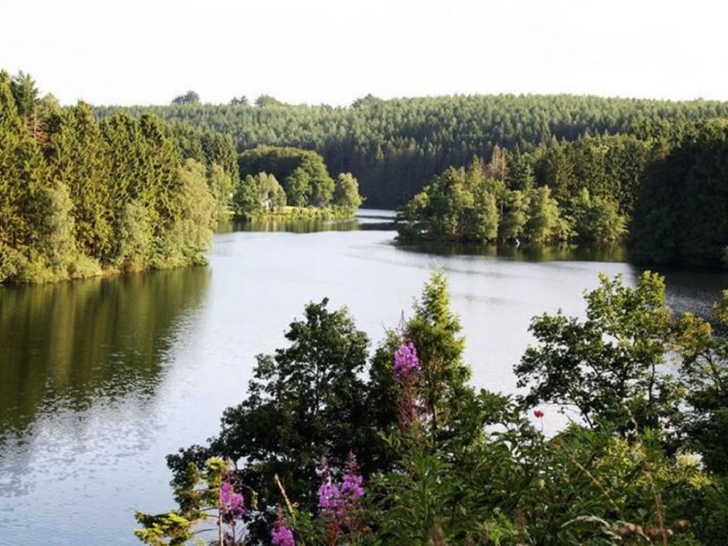 Malmedy Forestside Home