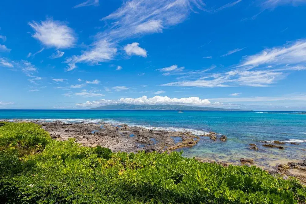Napili Shores G258 Studio Condo Condo