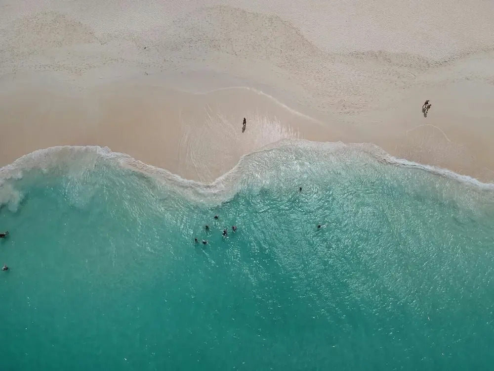 Eagle Stays Aruba