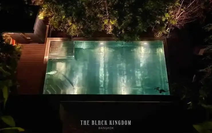 The Black Kingdom - เดอะ แบล็ค คิงดอม
