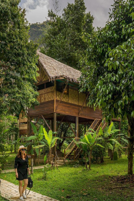 Our Jungle Camp - Eco Resort
