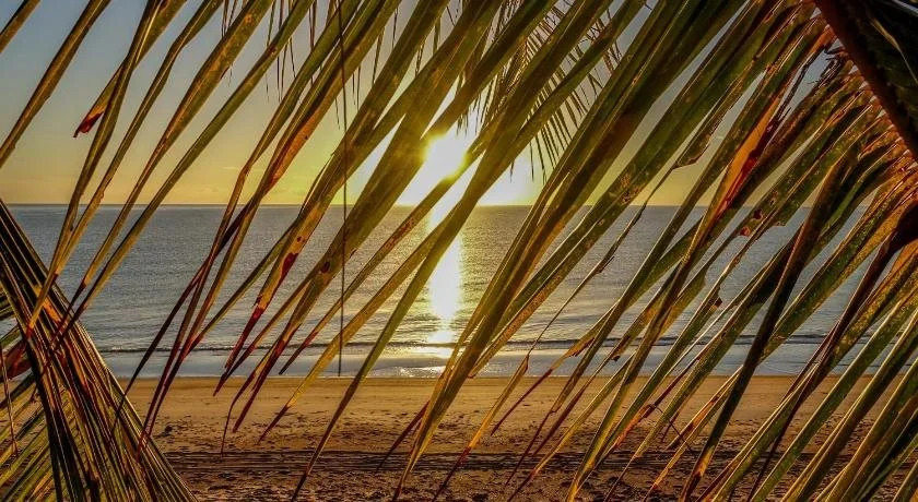 Pandanus Holiday Apartments