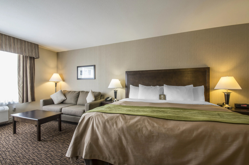 Comfort Inn & Suites Surrey