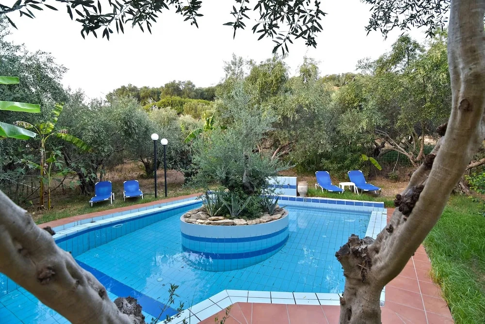 Olive Farm