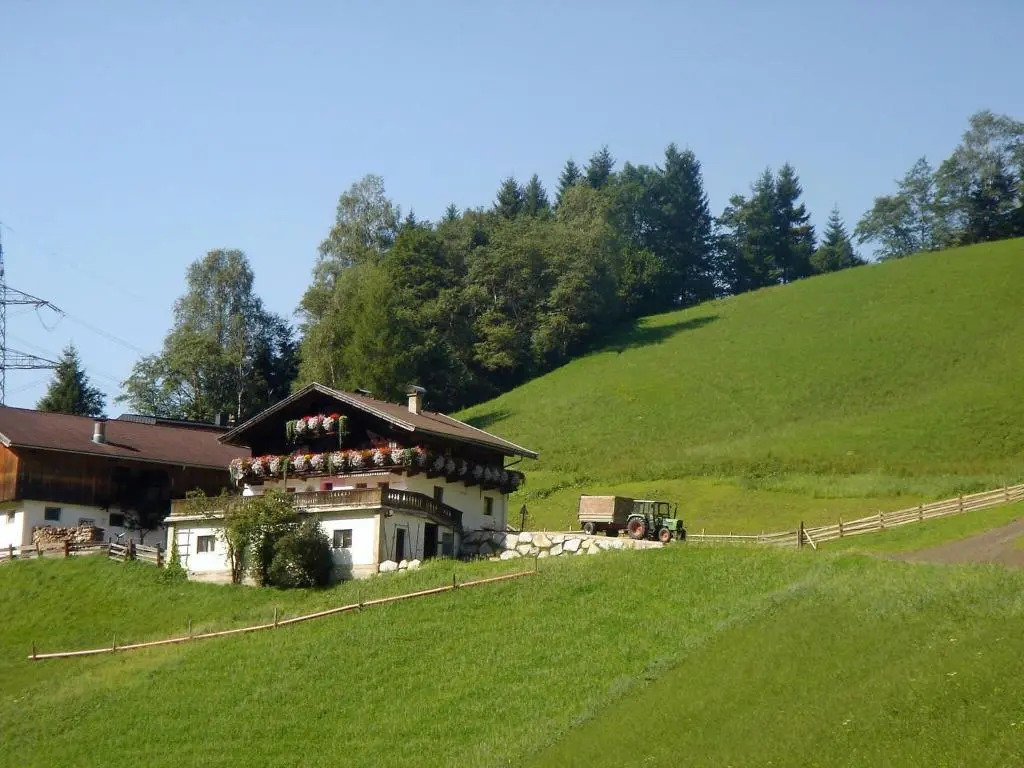 Almliesl Mitt-581