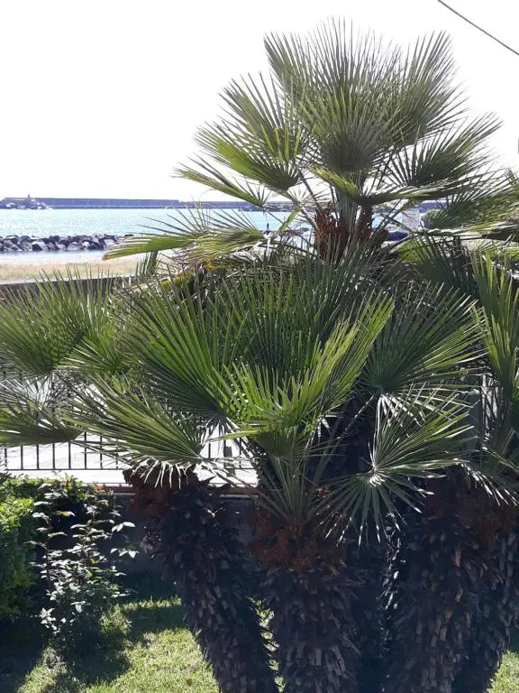 Al giardino SantAnna