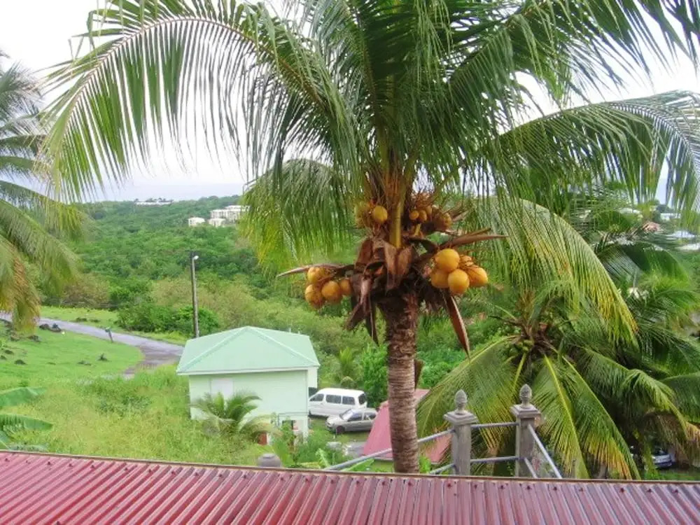 House with One Bedroom in Le Diamant, with Wonderful Sea View, Enclosed Garden And Wifi