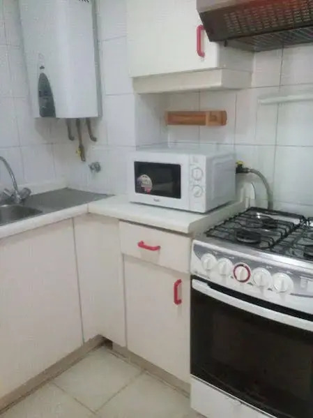 Providencia Suite Apartment