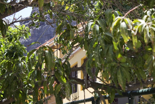 Apartamentos Concha