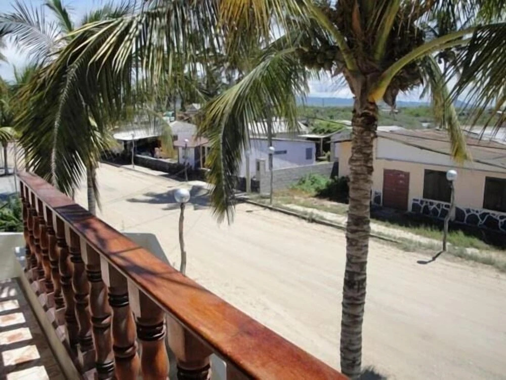 Hostal casa de los delfines